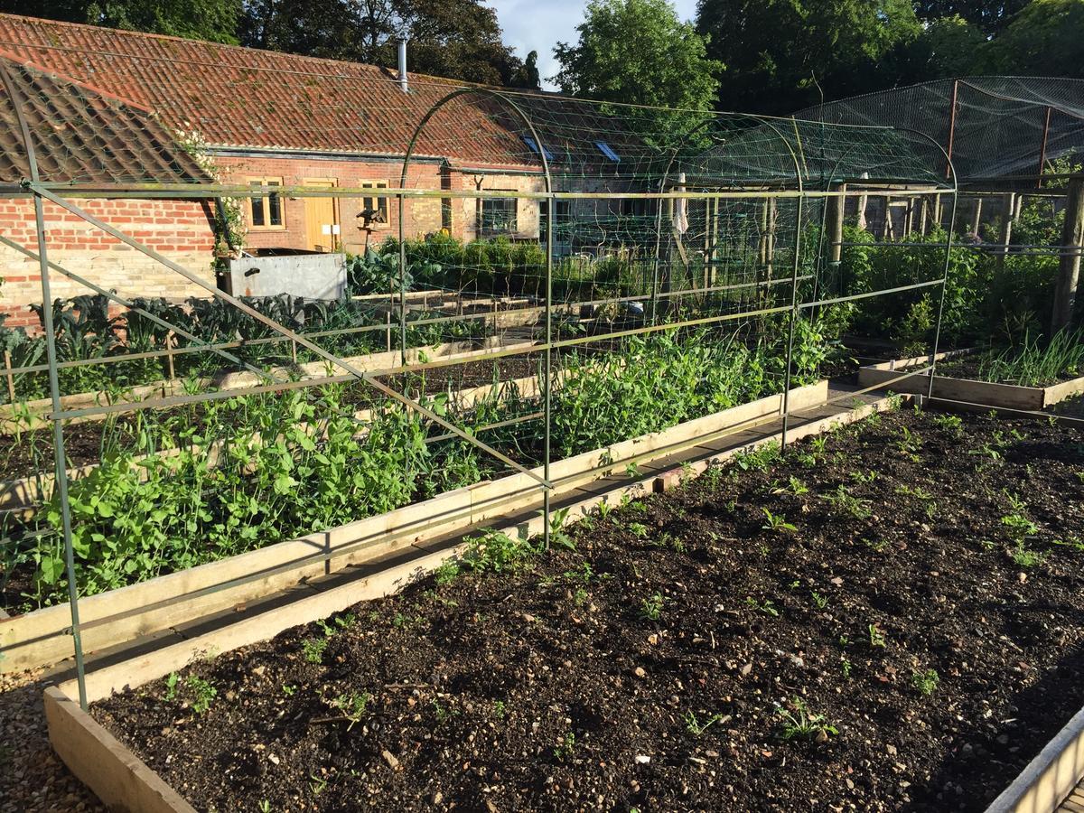 Chippenham Park Garden Rooms Exterior foto